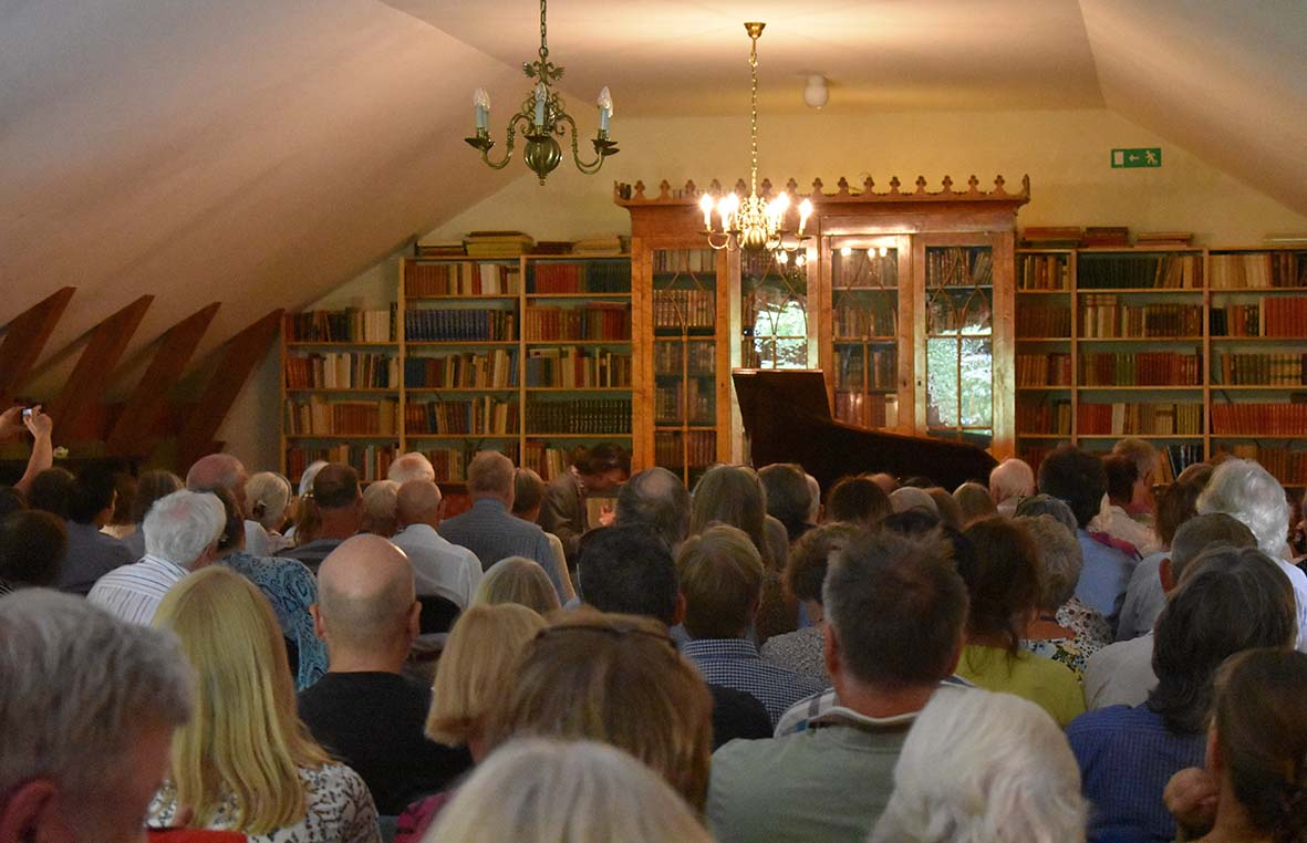Konsert med Martin Sturfält 2019